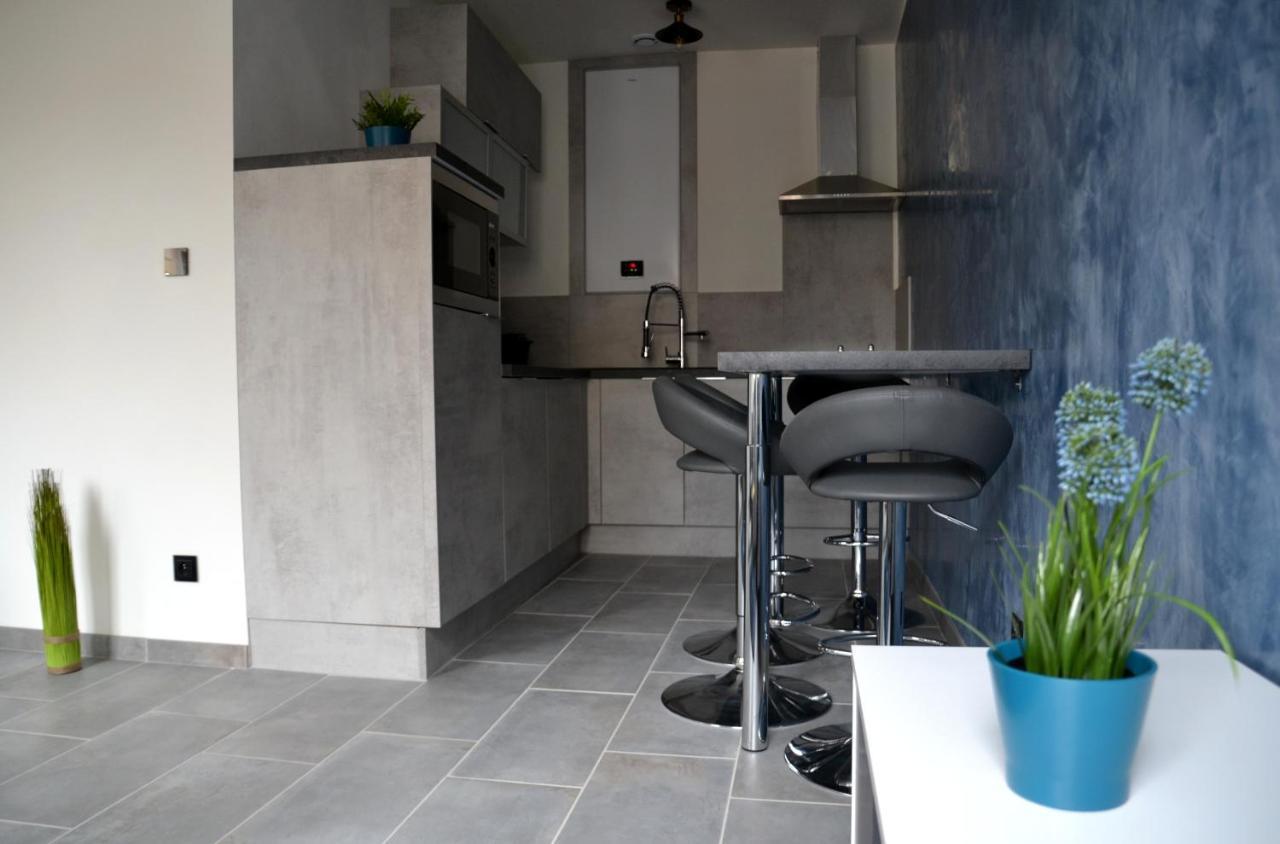 Le Cyclade, Appartement De Standing En Hyper-Centre. Sarreguemines Εξωτερικό φωτογραφία
